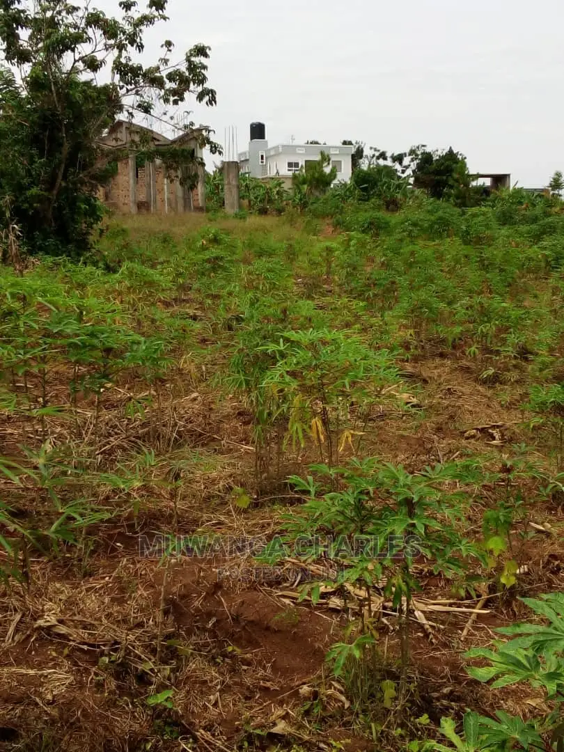 25decimals Plot for Sale at Kyanja Kungu
