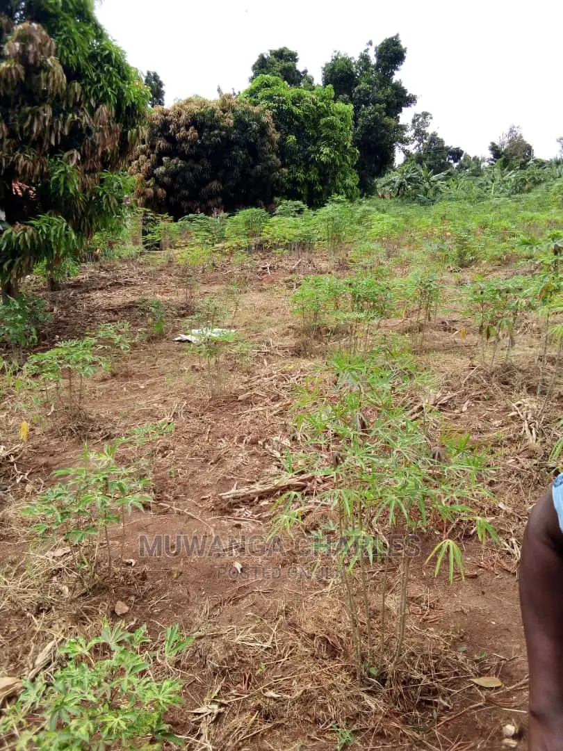 25decimals Plot for Sale at Kyanja Kungu