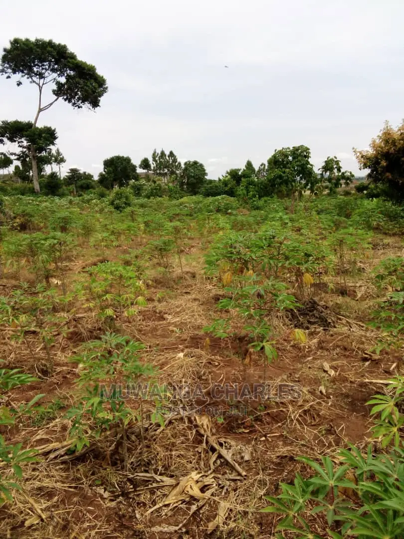 25decimals Plot for Sale at Kyanja Kungu