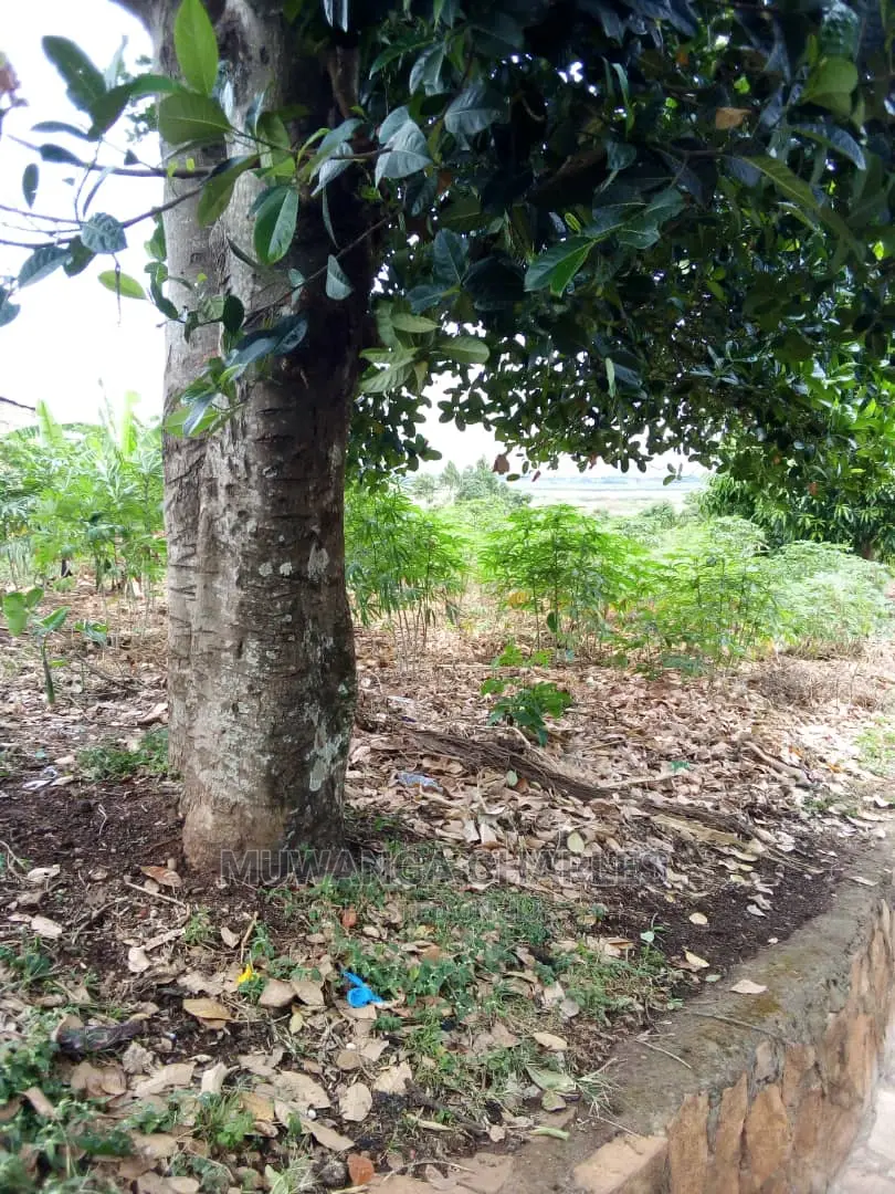 25decimals Plot for Sale at Kyanja Kungu
