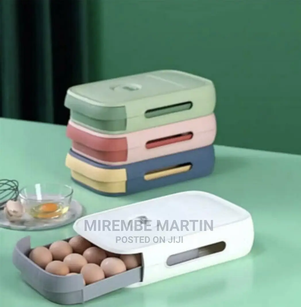Egg Storage Box