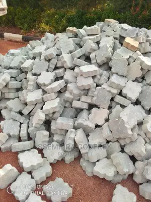 Installer of Pavers in Central and Overseas With Experts