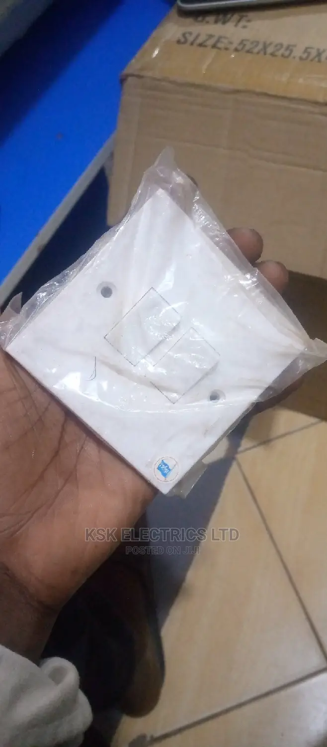 Double Switch For Bulbs