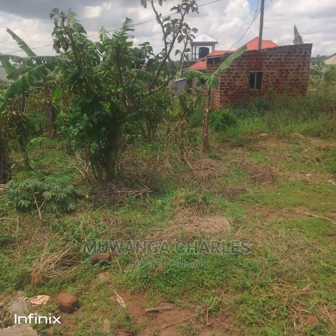 12decimals Plot of Land for Sale at Gazaza