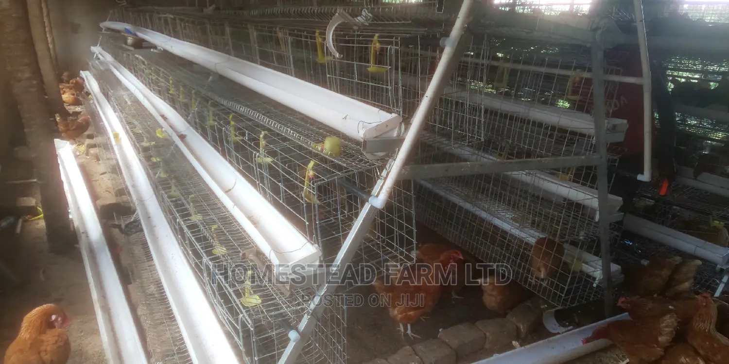 Special Offer on Cage Fabricators. 160 Layer Cage 1.4m