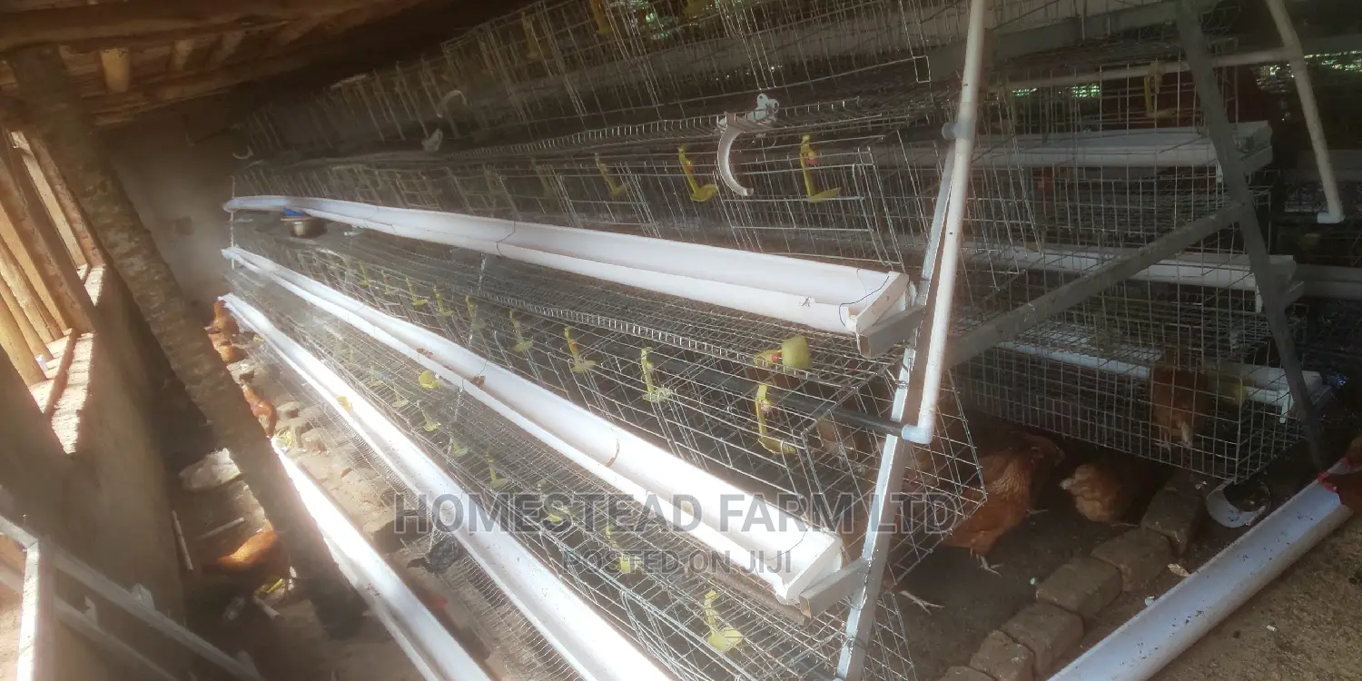 Special Offer on Cage Fabricators. 160 Layer Cage 1.4m