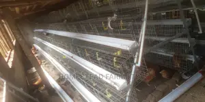 Special Offer on Cage Fabricators. 160 Layer Cage 1.4m