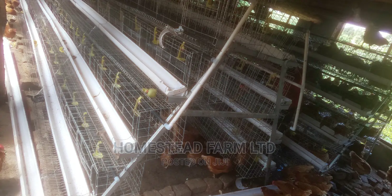 Special Offer on Cage Fabricators. 160 Layer Cage 1.4m