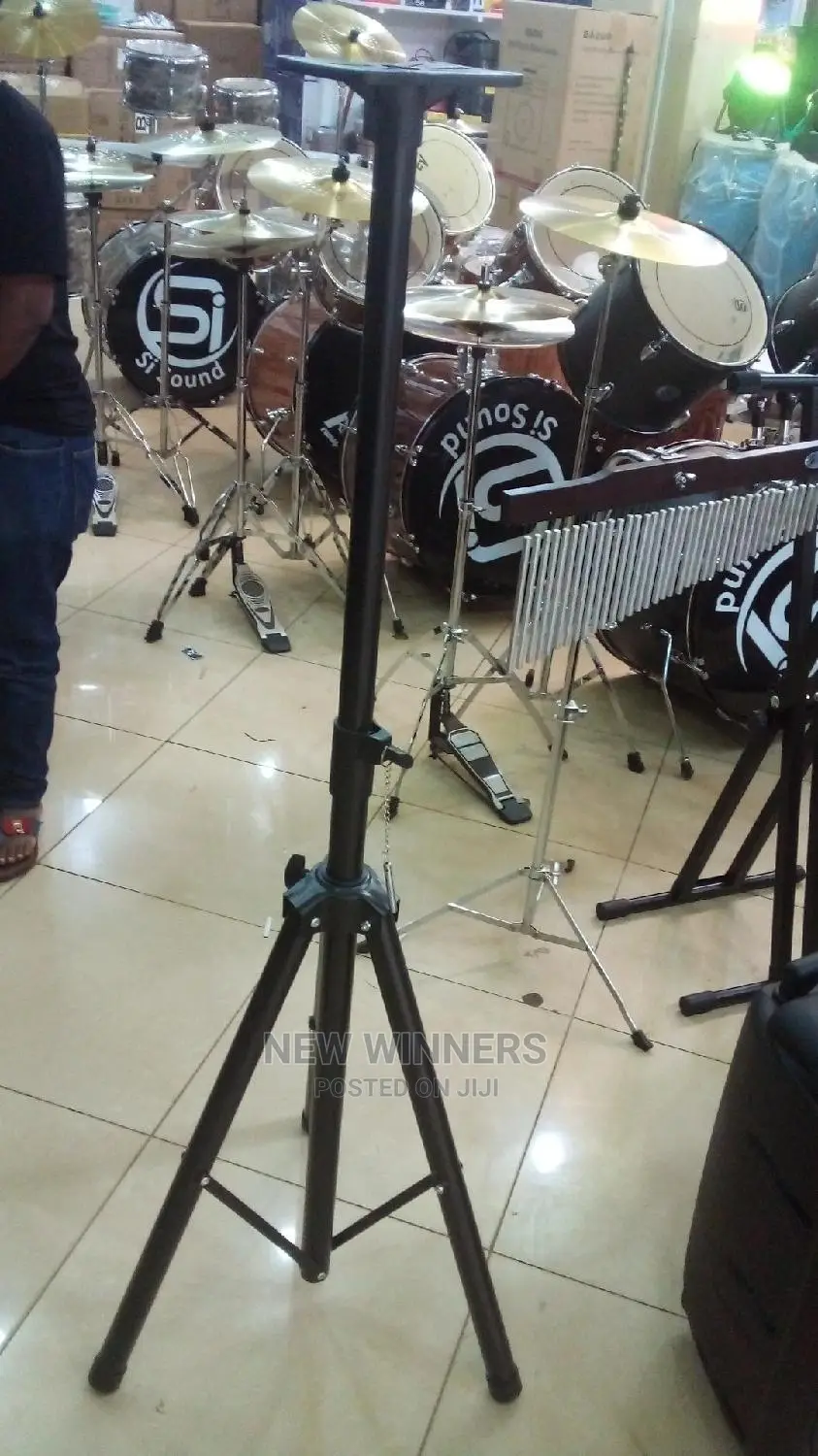 Metallic Speaker Stand