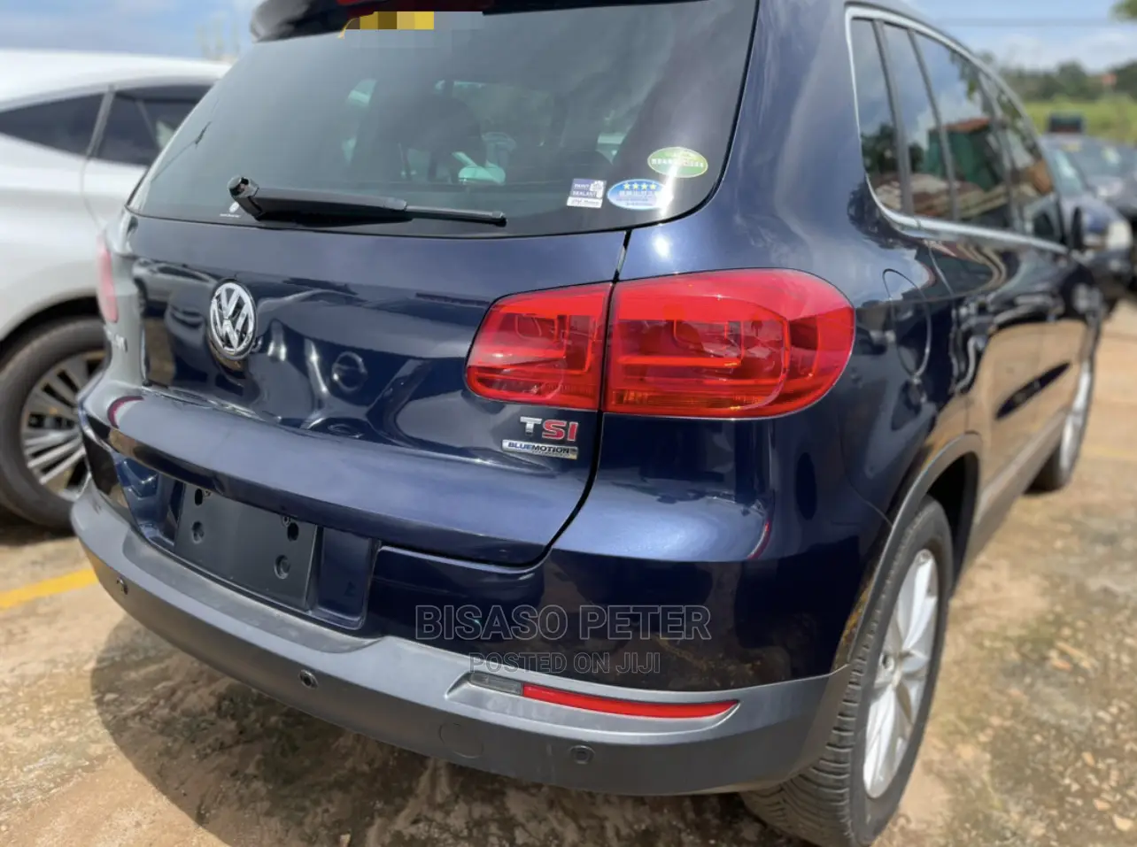 Volkswagen Tiguan S 2013 Blue