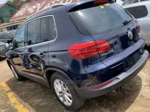 Volkswagen Tiguan S 2013 Blue