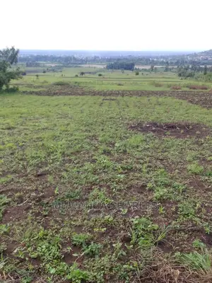 Land for Sale at Kikyusa