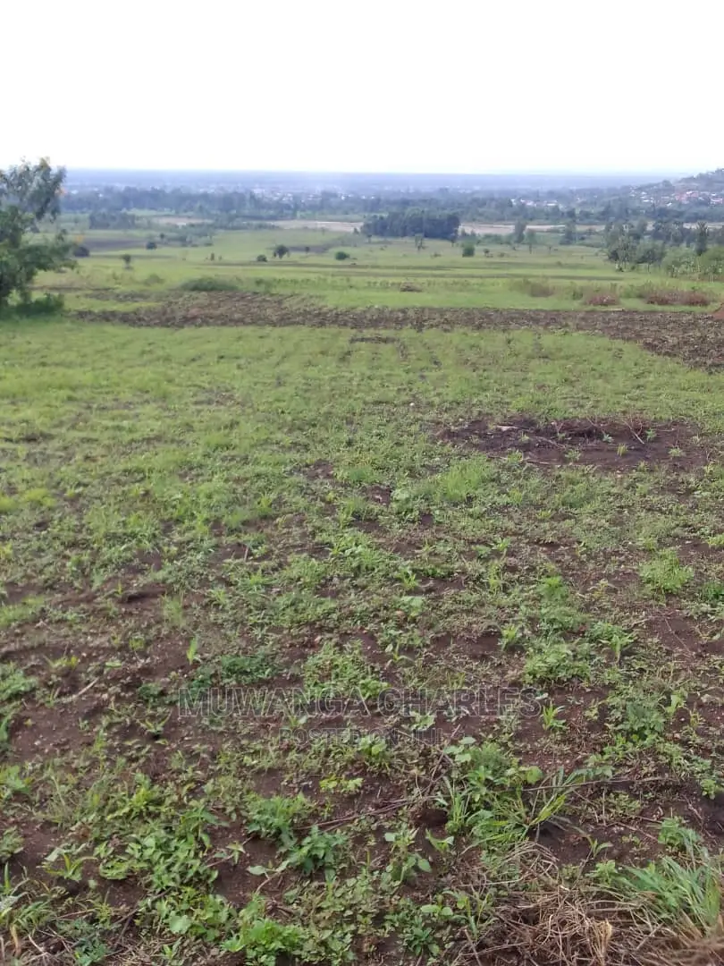 Land for Sale at Kikyusa