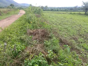 Land for Sale at Kikyusa