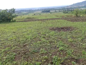 Land for Sale at Kikyusa