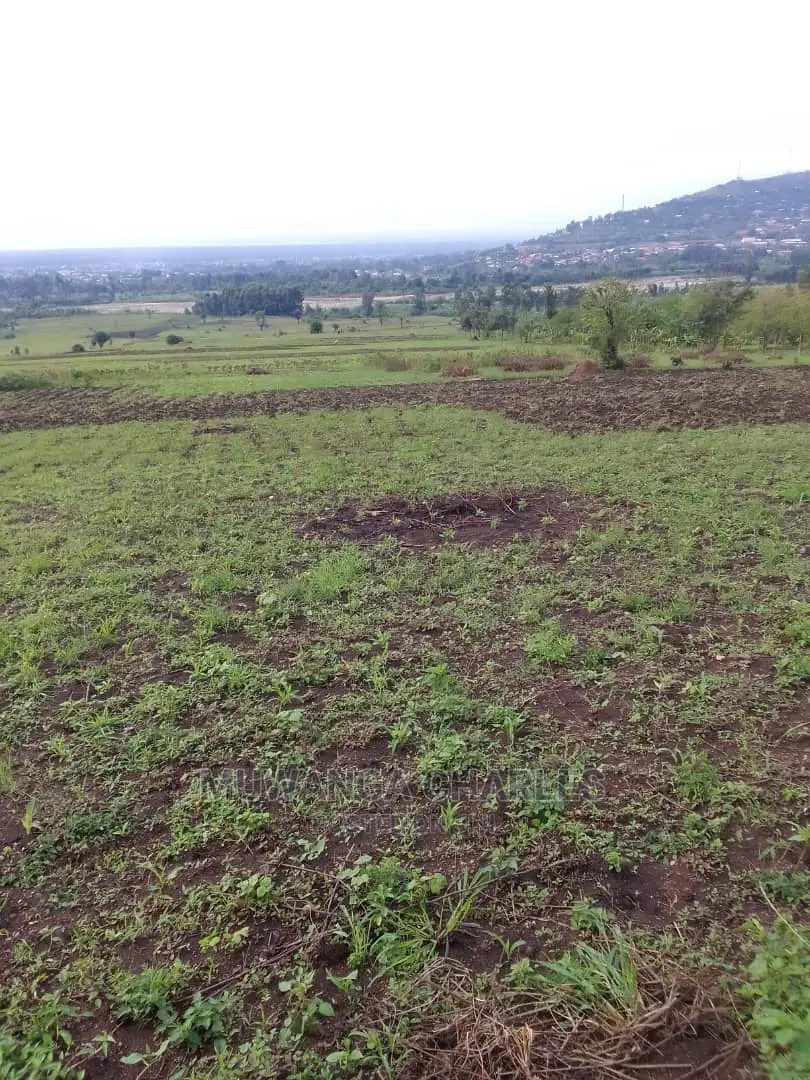 Land for Sale at Kikyusa