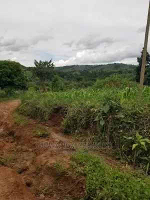 10acrs of Land for Sale at Luwero