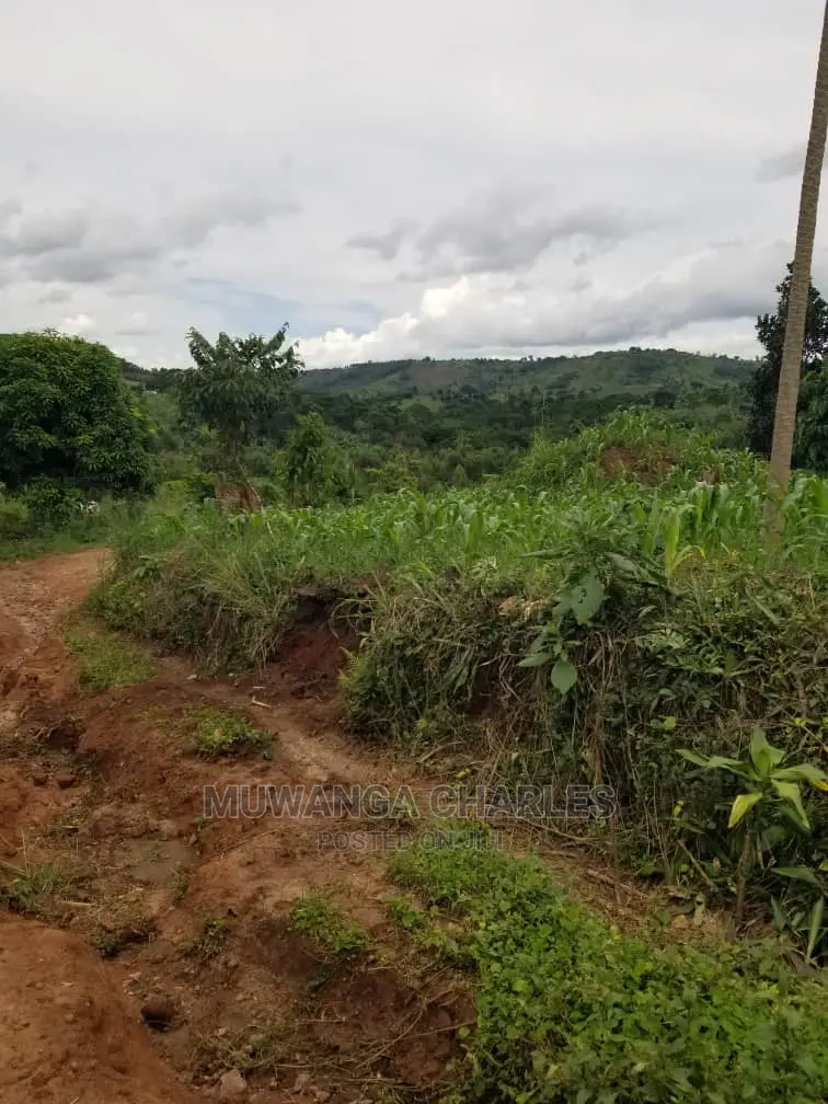 10acrs of Land for Sale at Luwero
