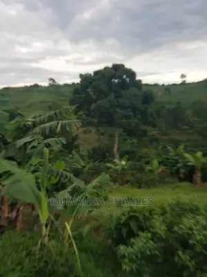 10acrs of Land for Sale at Luwero