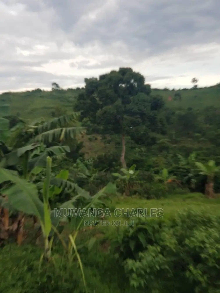 10acrs of Land for Sale at Luwero
