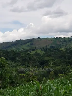 10acrs of Land for Sale at Luwero