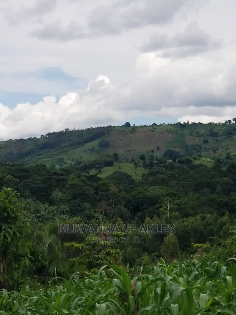 10acrs of Land for Sale at Luwero