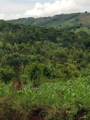10acrs of Land for Sale at Luwero