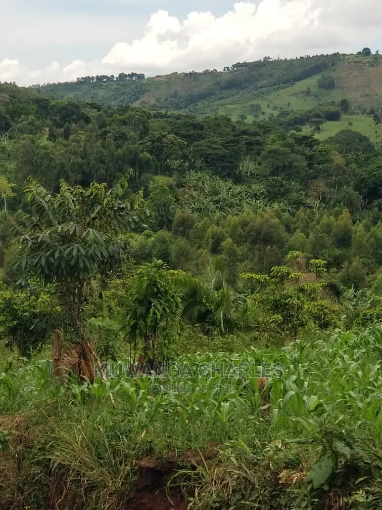 10acrs of Land for Sale at Luwero