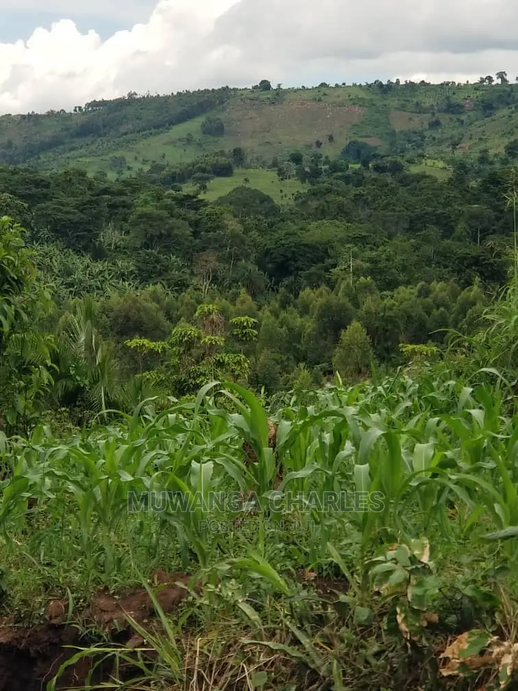 10acrs of Land for Sale at Luwero