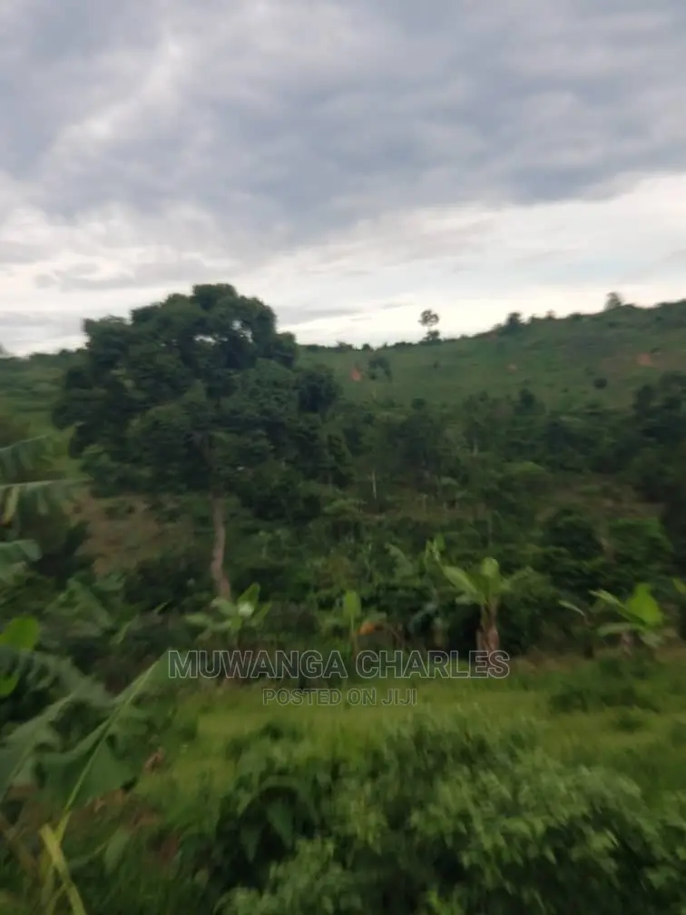 10acrs of Land for Sale at Luwero