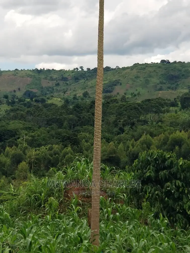 10acrs of Land for Sale at Luwero