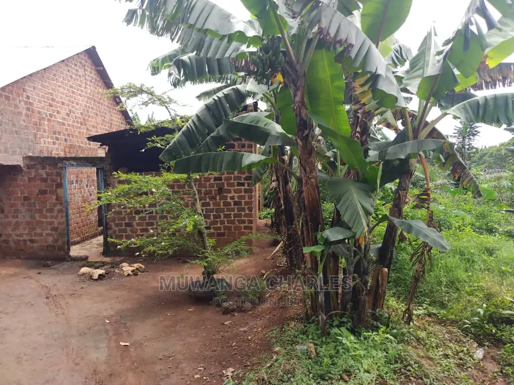 100by50ft Plot of Land for Sale at Gayaza Kijabijo
