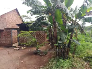 100by50ft Plot of Land for Sale at Gayaza Kijabijo