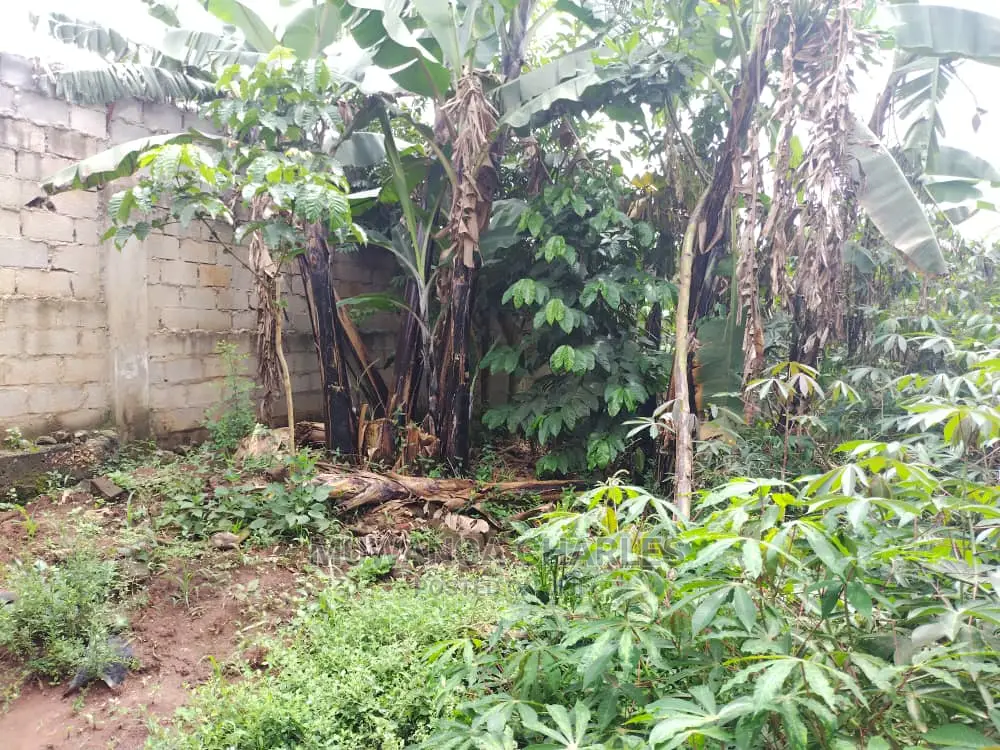 100by50ft Plot of Land for Sale at Gayaza Kijabijo