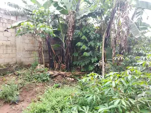 100by50ft Plot of Land for Sale at Gayaza Kijabijo