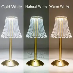 Rechargeable Bedside/ Table Lamp