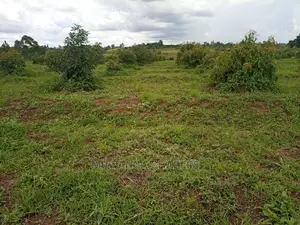 100by50ft Plot for Sale at Gayaza Kabubu