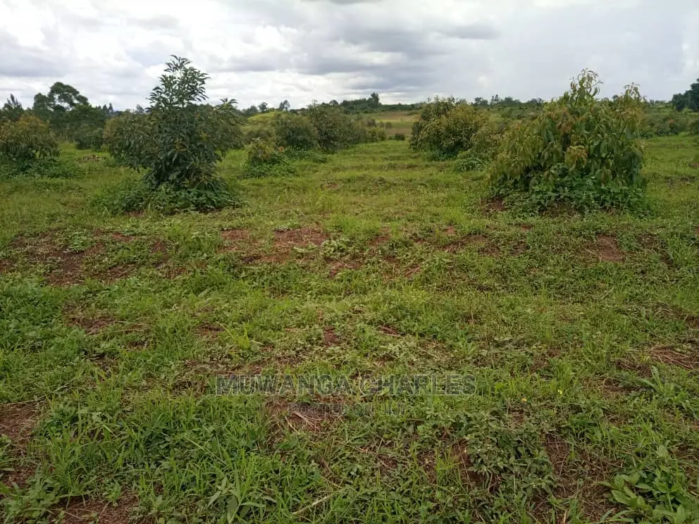 100by50ft Plot for Sale at Gayaza Kabubu
