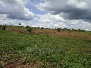 100by50ft Plot for Sale at Gayaza Kabubu