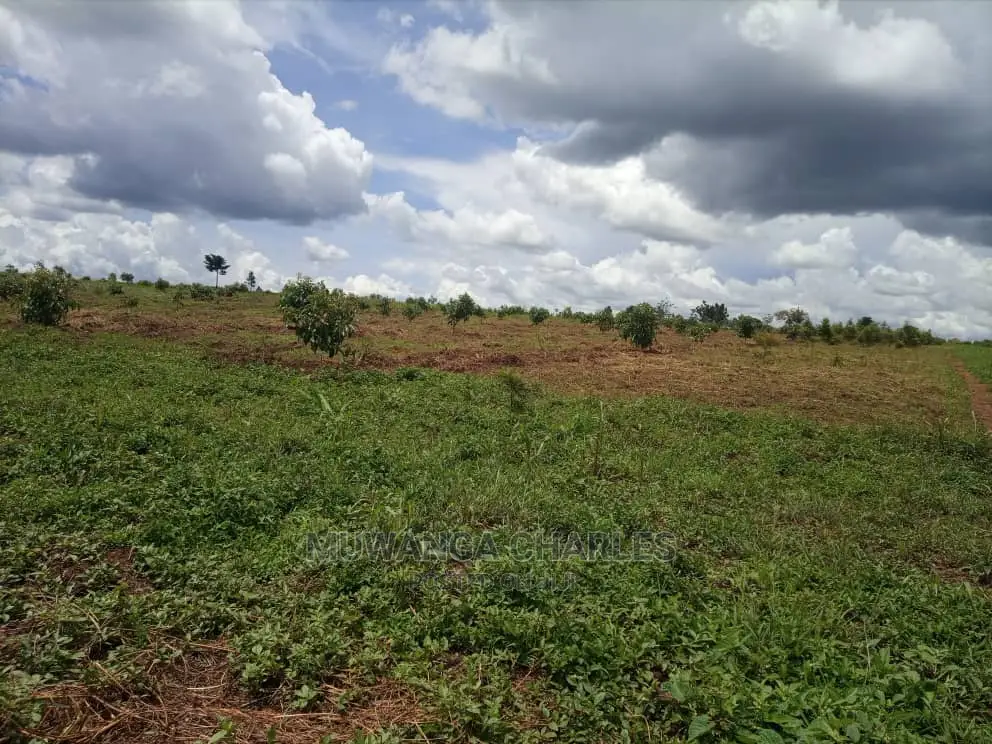 100by50ft Plot for Sale at Gayaza Kabubu