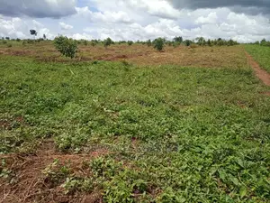 100by50ft Plot for Sale at Gayaza Kabubu