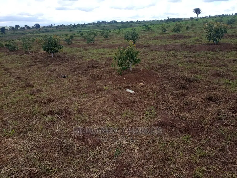 100by50ft Plot for Sale at Gayaza Kabubu