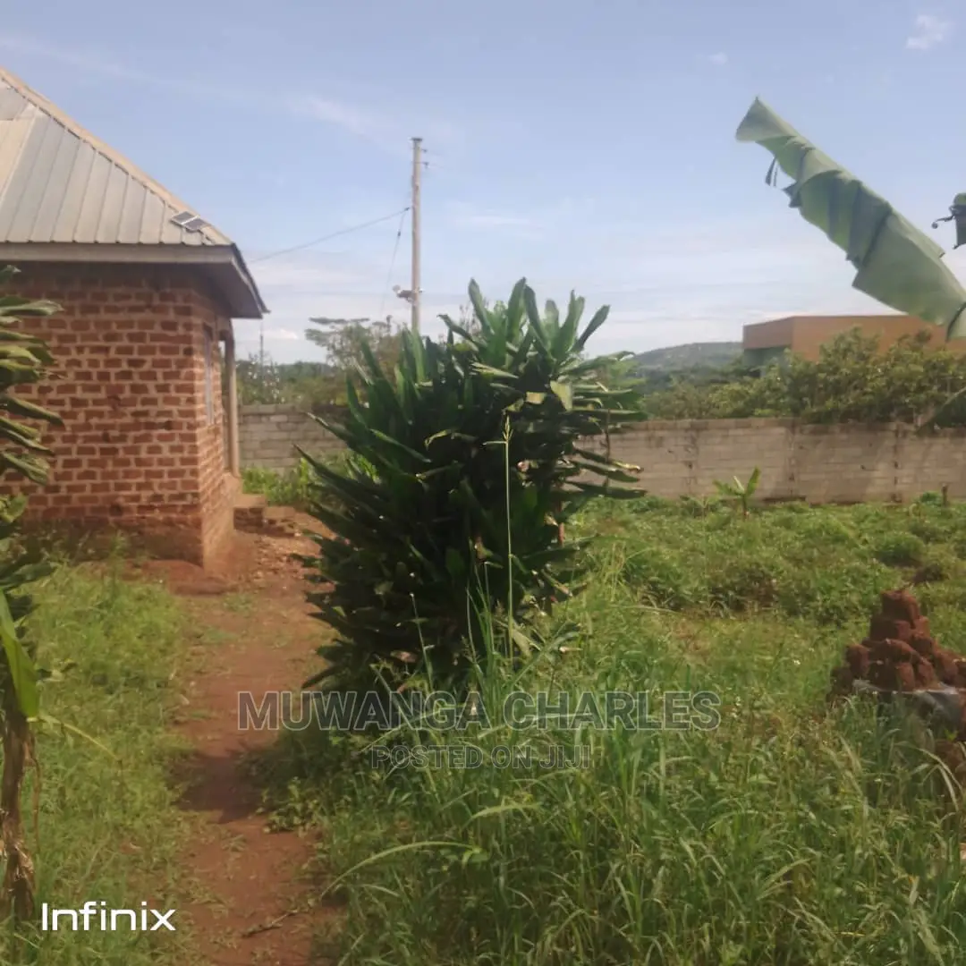 50by50ft Plot for Sale at Manyangwa