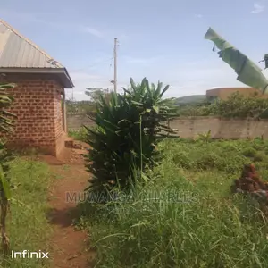 50by50ft Plot for Sale at Manyangwa