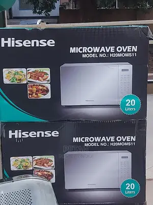 Hisense 20litres Silver