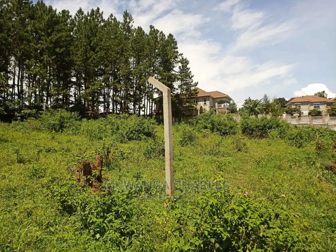 100by50ft Plot for Sale at Kira