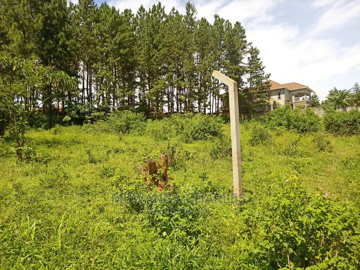 100by50ft Plot for Sale at Kira