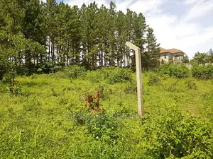 100by50ft Plot for Sale at Kira