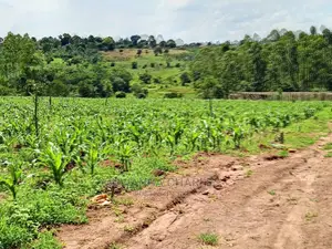 Plots for Sale at Gayaza