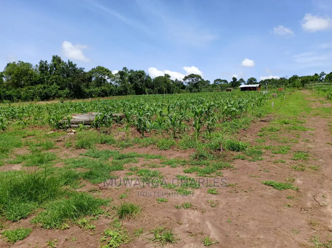 Plots for Sale at Gayaza